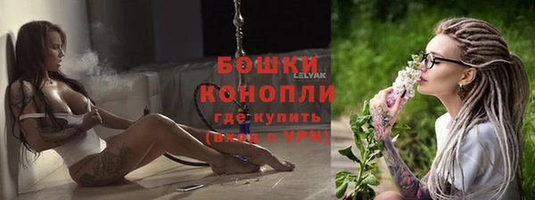 гидра Каменногорск