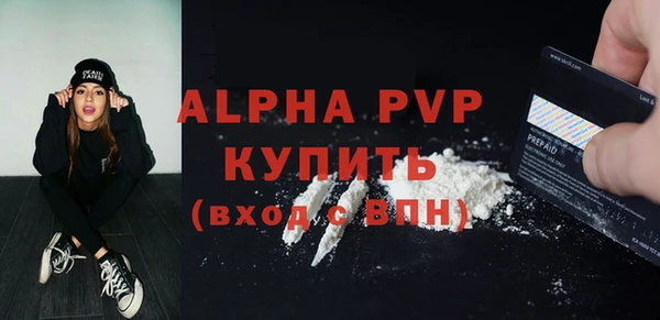 гидра Каменногорск