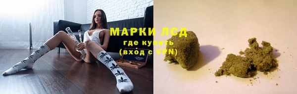 гидра Каменногорск