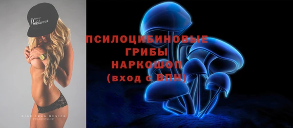 гидра Каменногорск