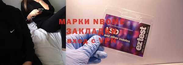 гидра Каменногорск