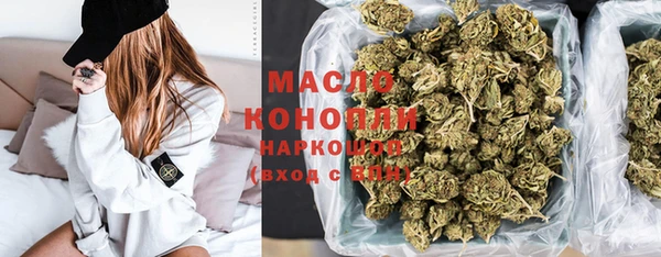 гидра Каменногорск