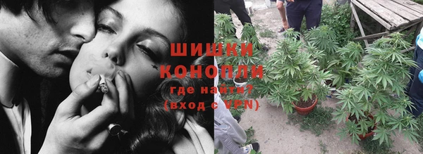 гидра Каменногорск