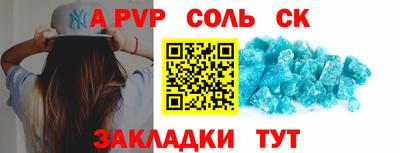 индика Камень-на-Оби