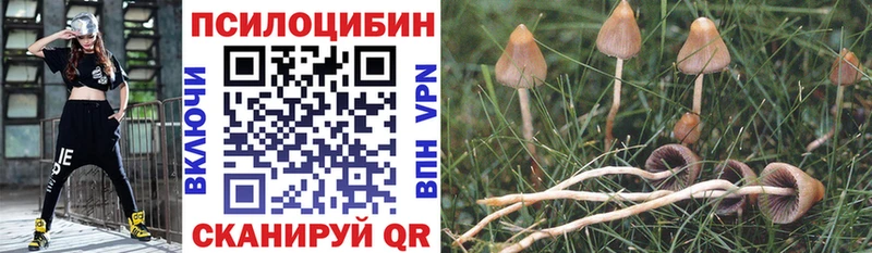 наркота  мега tor  Галлюциногенные грибы мицелий  Качканар 