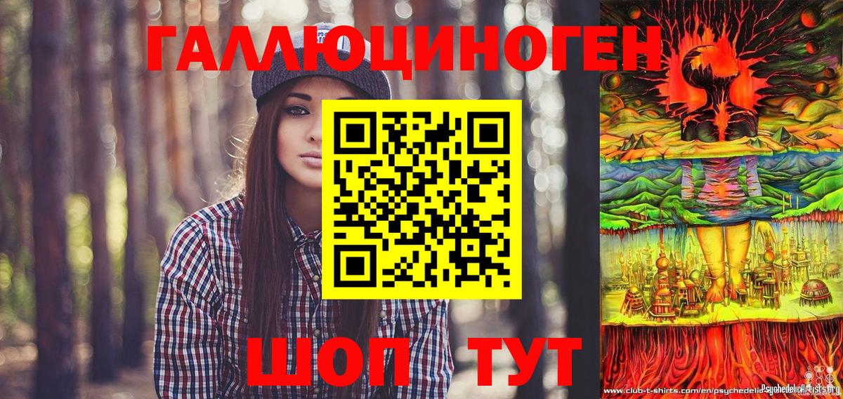 Псилоцибиновые грибы Psilocybine cubensis Качканар