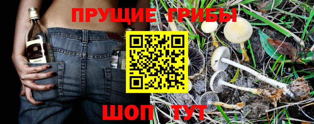 Галлюциногенные грибы ЛСД  Вход с VPN  Псилоцибиновые грибы GOLDEN TEACHER  Качканар 