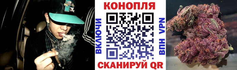 Конопля марихуана  Качканар 